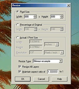 Digital Photography Tip: fig 1 Resize Dialog Box image